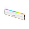 SP MEMORIA DDR5-6000,C30,RGB-UDIMM,3GB (16GBx2) SR