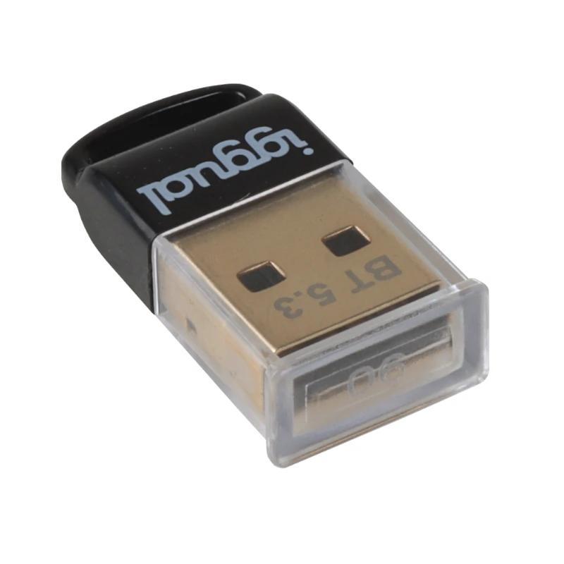 iggual Adaptador USB 2.0 mini Bluetooth 5.3