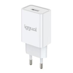 iggual Cargador de pared 1xUSB 5V/2A (10W)