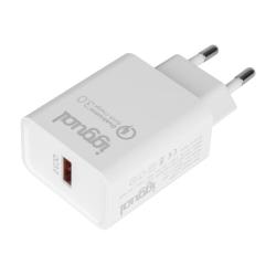 iggual Cargador 1xUSB-A carga rápida QC3.0 18W