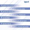 iggual TPV 17" i5 8+256GB W11Pro + Software